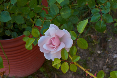 Similar image 21254024