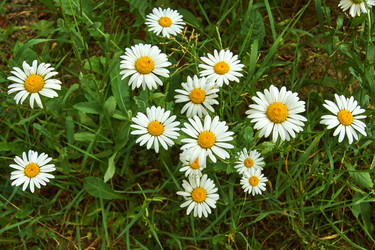 Similar image 21254029