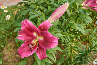 Similar image 21254031