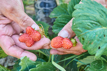 Similar image 21254032