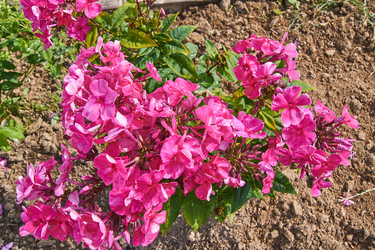 Similar image 21254035