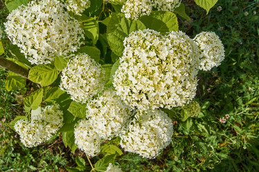 Similar image 21254436