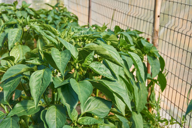 Similar image 21254581