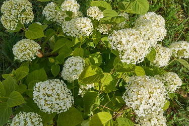 Similar image 21254582