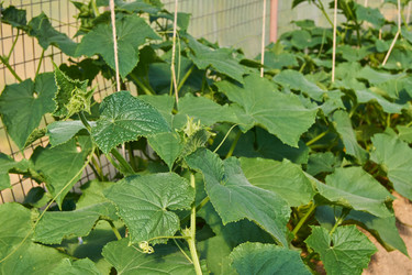 Similar image 21254583