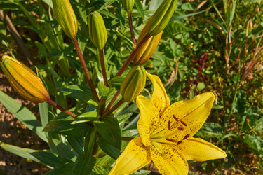 Similar image 21254584