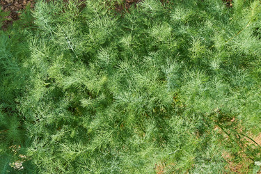 Similar image 21254587