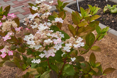 Similar image 21235261