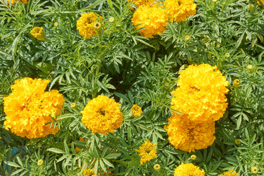 Similar image 21235269