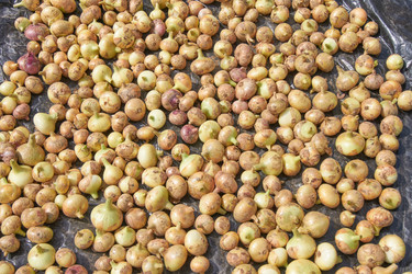 Similar image 21235271