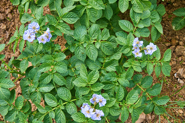 Similar image 21235277