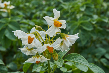 Similar image 21235278