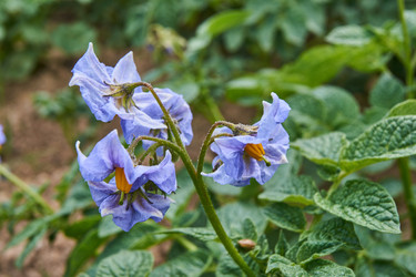 Similar image 21235280