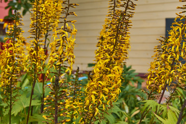 Similar image 21235316