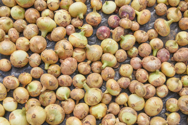 Similar image 21235318