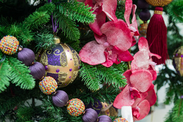 Similar image 21235512