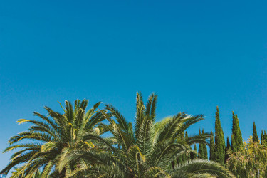 Similar image 21254590