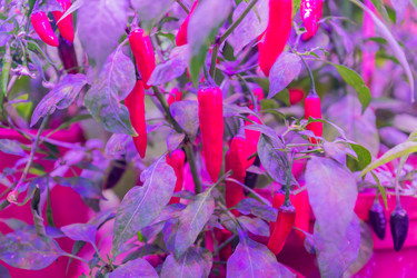 Similar image 21254591