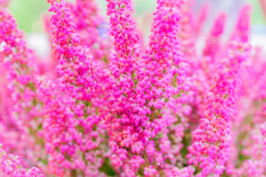 Similar image 21254673