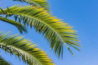 Similar image 21254793