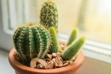 Similar image 21254795