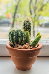 Similar image 21254797