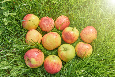 Similar image 21235290