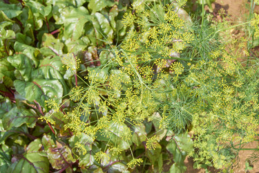 Similar image 21235294