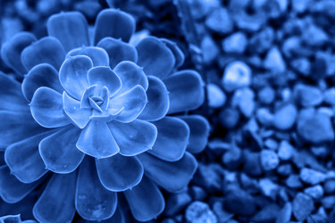 Similar image 21235295