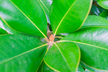 Similar image 21254592