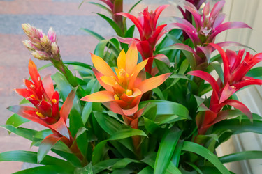 Similar image 21254594