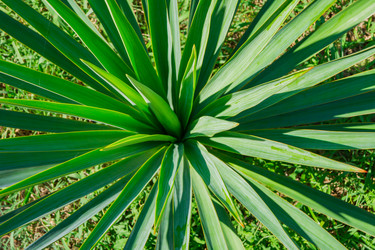 Similar image 21254595