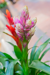 Similar image 21254678