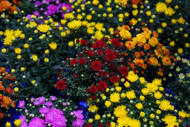 Similar image 21248964