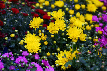 Similar image 21248965