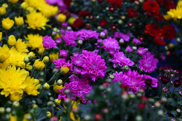 Similar image 21248966