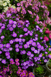 Similar image 21248968