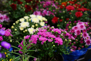 Similar image 21248969