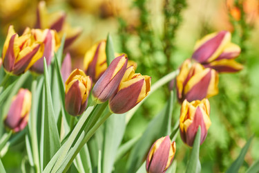 Similar image 21235521