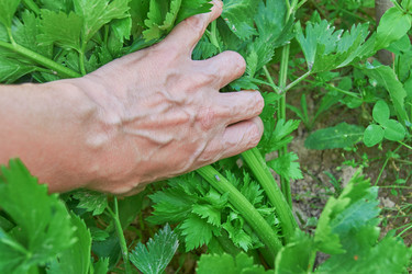 Similar image 21235522