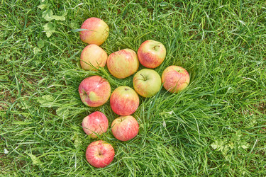 Similar image 21235531