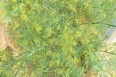 Similar image 21235533