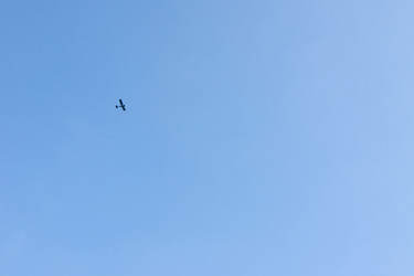 Similar image 21235534