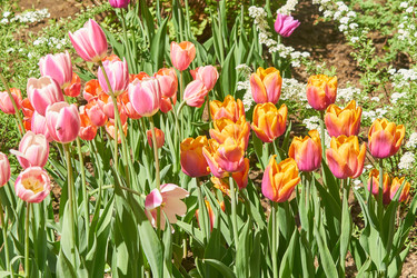 Similar image 21235535