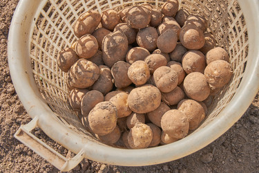 Similar image 21235540