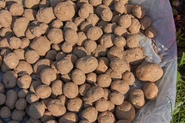 Similar image 21235628