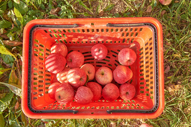 Similar image 21235637