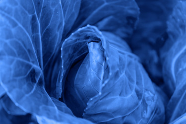 Similar image 21254063