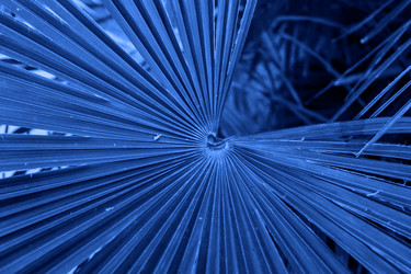 Similar image 21254069