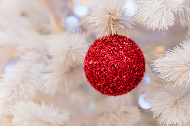 Similar image 21254074